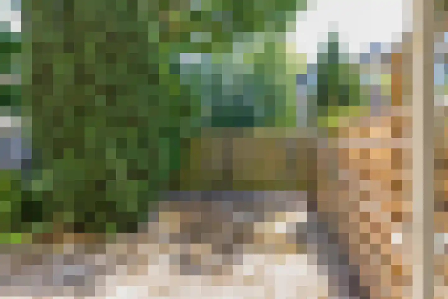 Veen en Duin 115 Bloemendaal thumbnail 5