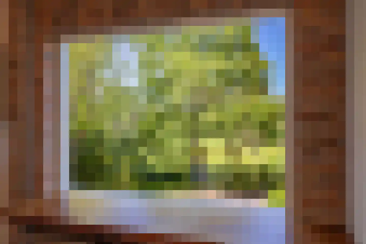 Veen en Duin 115 Bloemendaal thumbnail 8