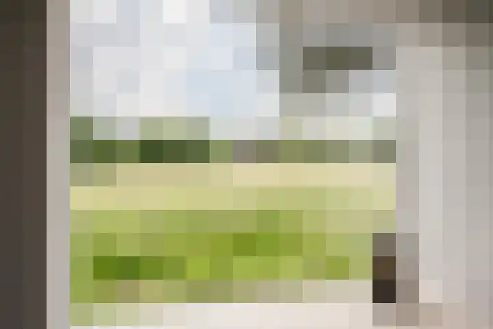 Veen en Duin 118 Bloemendaal thumbnail 11