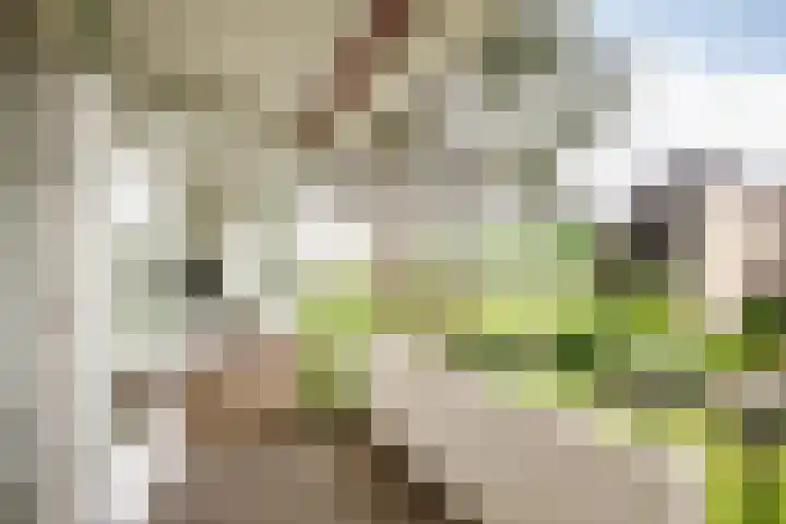Veen en Duin 118 Bloemendaal thumbnail 12