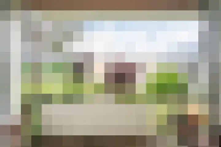 Veen en Duin 118 Bloemendaal thumbnail 13