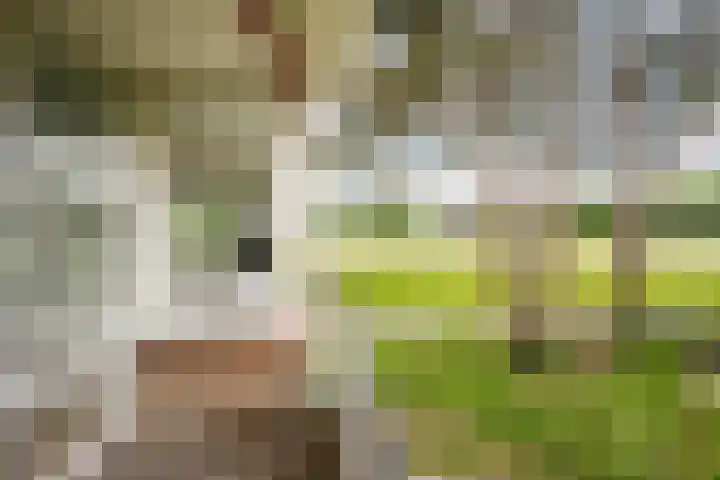 Veen en Duin 118 Bloemendaal thumbnail 14