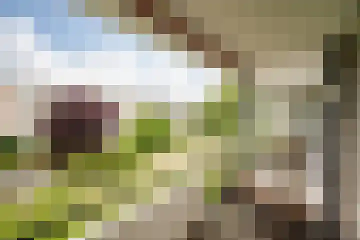 Veen en Duin 118 Bloemendaal thumbnail 15