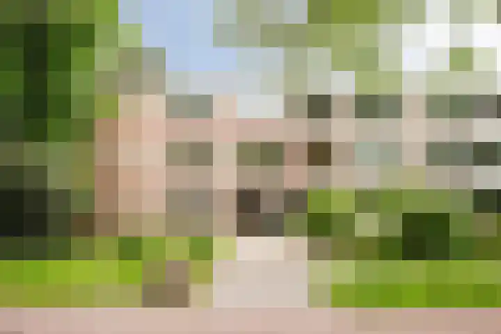Veen en Duin 118 Bloemendaal thumbnail 26