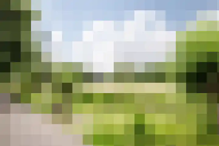 Veen en Duin 118 Bloemendaal thumbnail 27