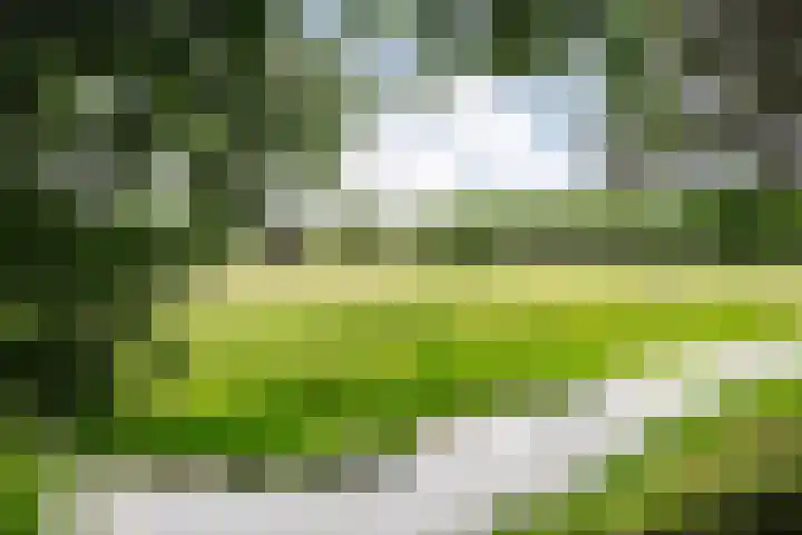 Veen en Duin 118 Bloemendaal thumbnail 28
