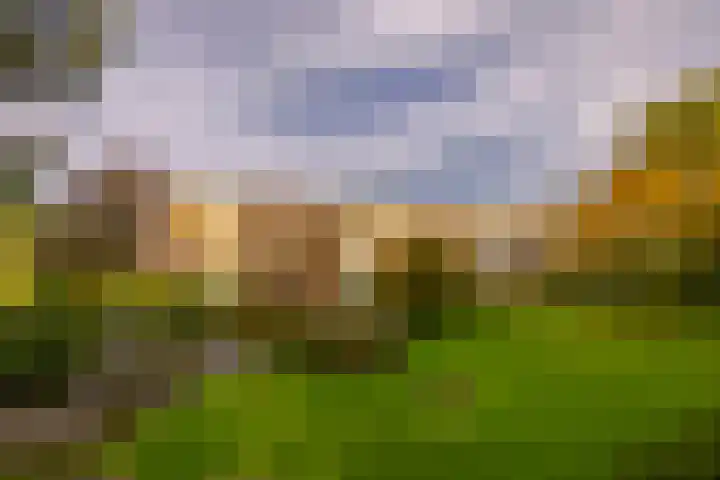 Veen en Duin 118 Bloemendaal thumbnail 29
