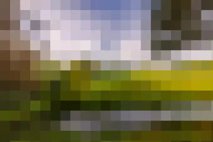 Veen en Duin 118 Bloemendaal thumbnail 30