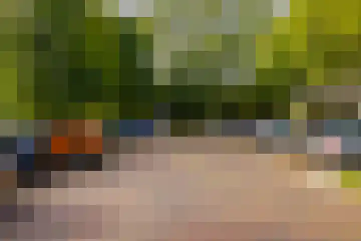 Veen en Duin 118 Bloemendaal thumbnail 31