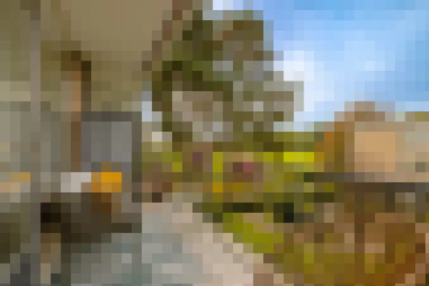 Veen en Duin 122 Bloemendaal thumbnail 14