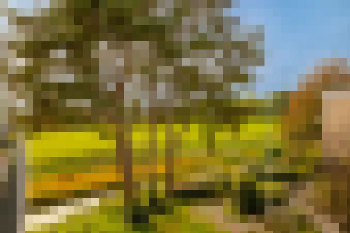 Veen en Duin 122 Bloemendaal thumbnail 15