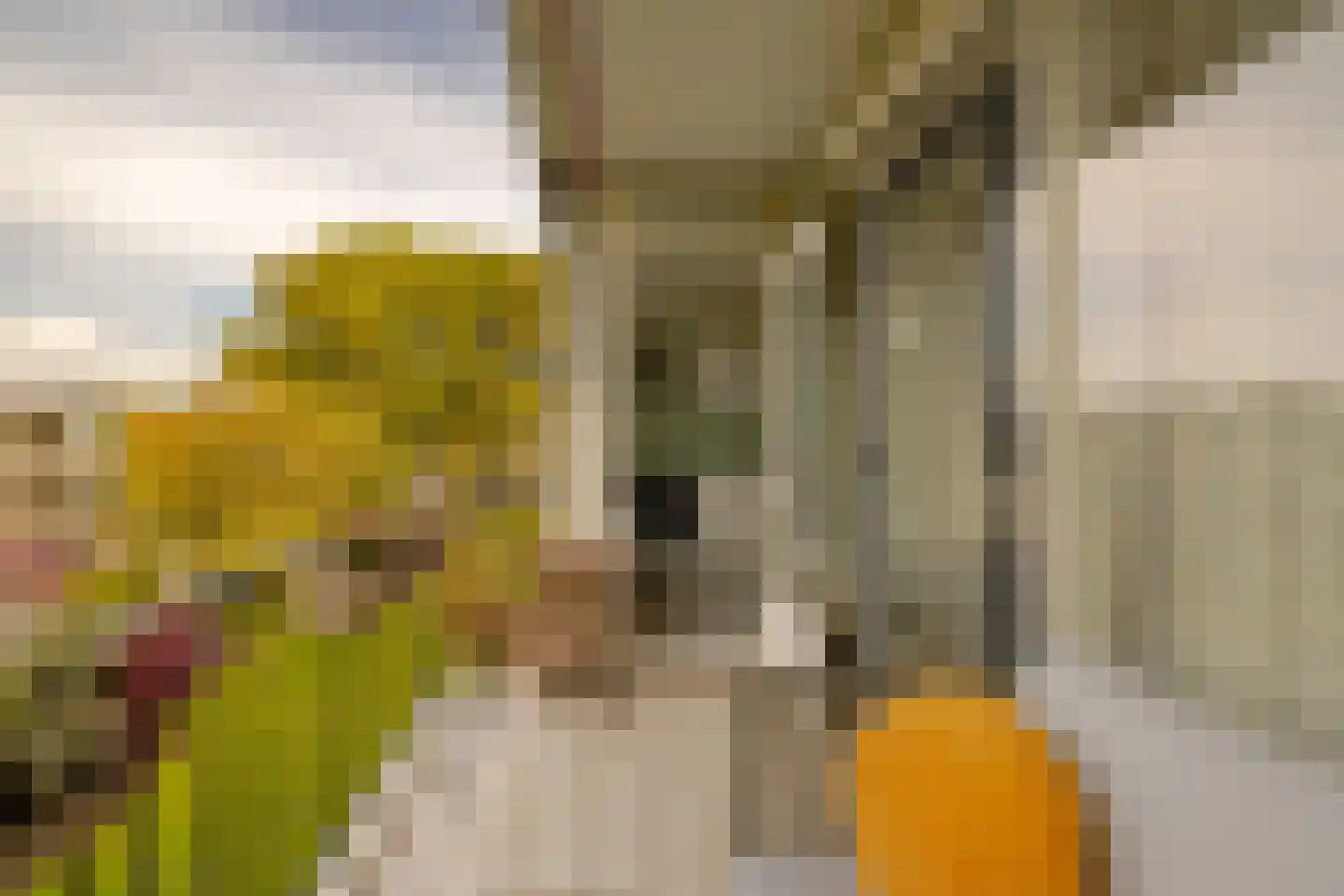 Veen en Duin 122 Bloemendaal thumbnail 16