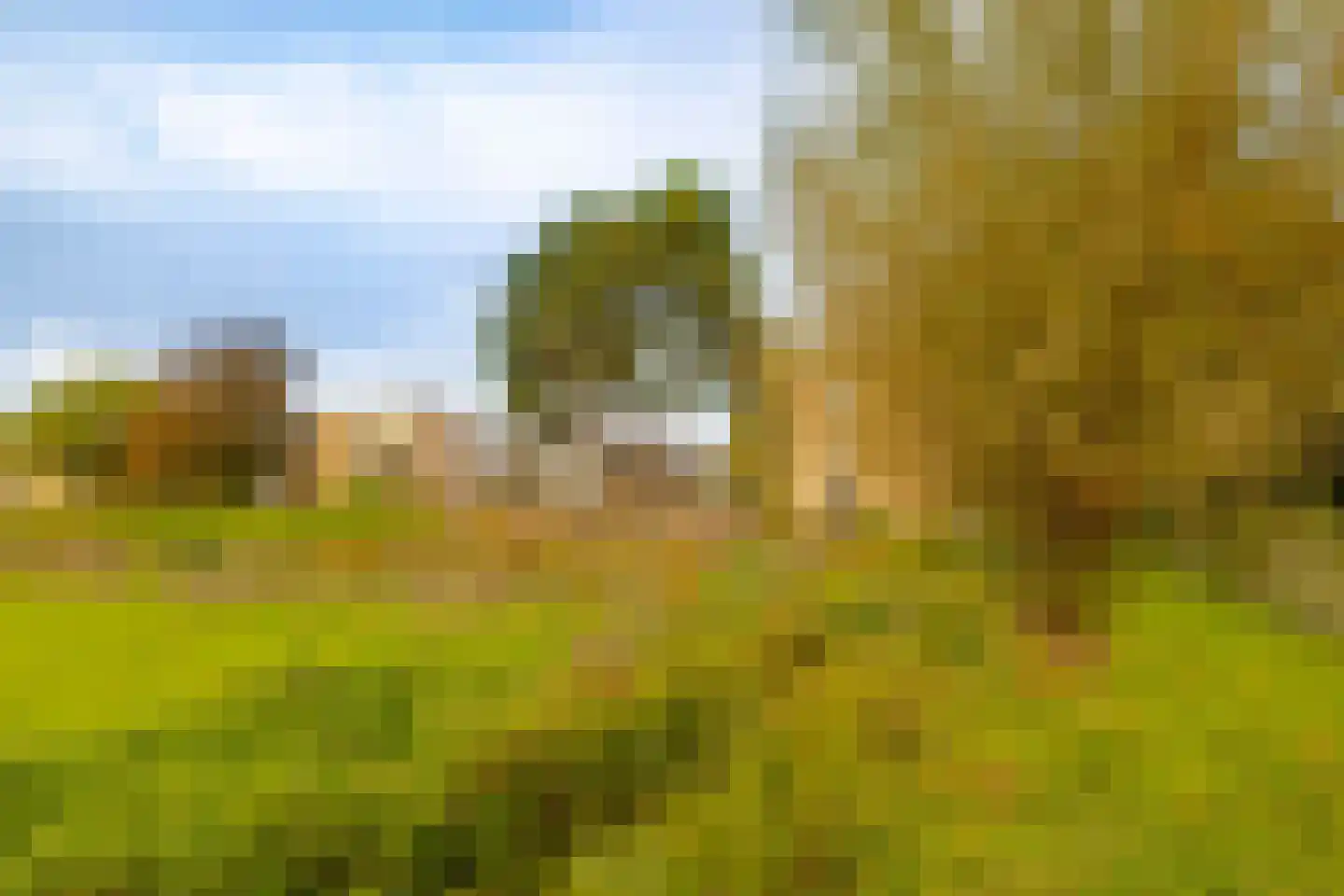 Veen en Duin 122 Bloemendaal thumbnail 26
