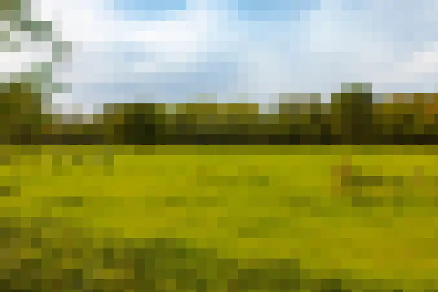 Veen en Duin 122 Bloemendaal thumbnail 27