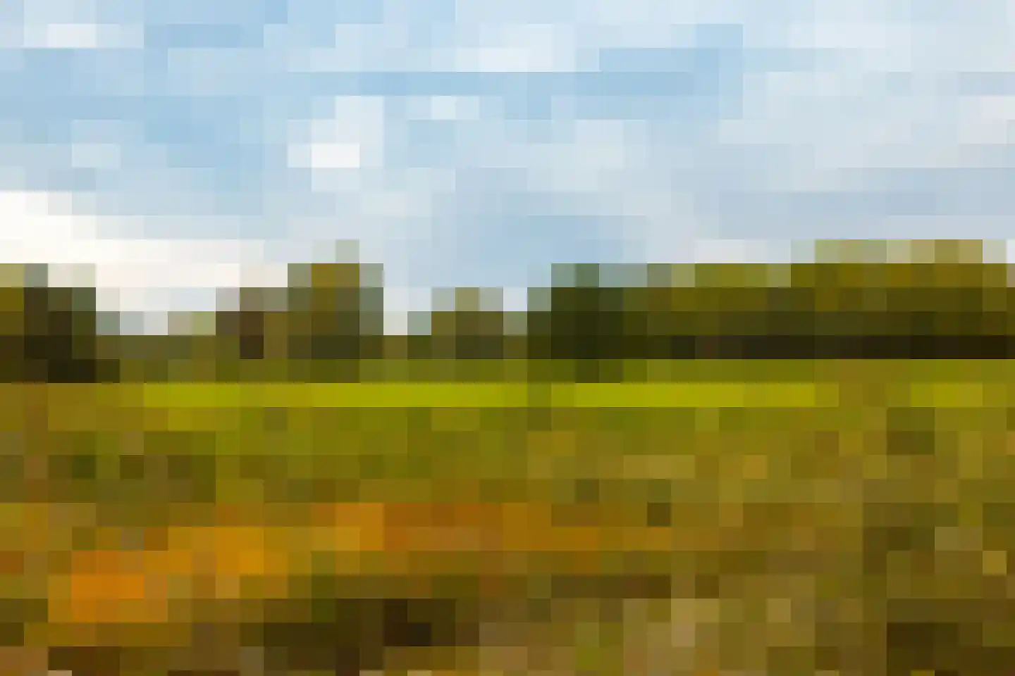 Veen en Duin 122 Bloemendaal thumbnail 28