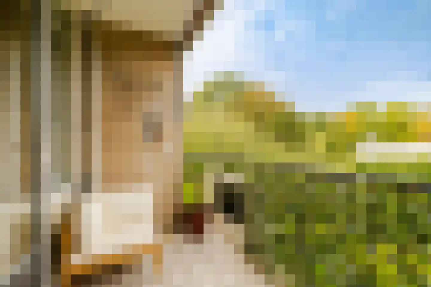 Veen en Duin 14 Bloemendaal thumbnail 13
