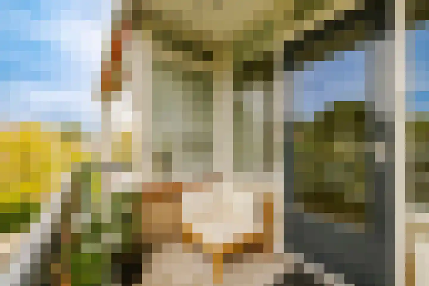 Veen en Duin 14 Bloemendaal thumbnail 14