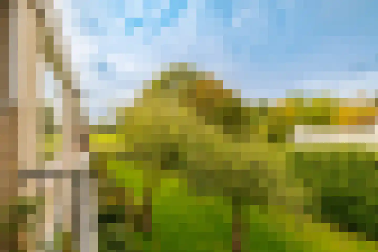 Veen en Duin 14 Bloemendaal thumbnail 15