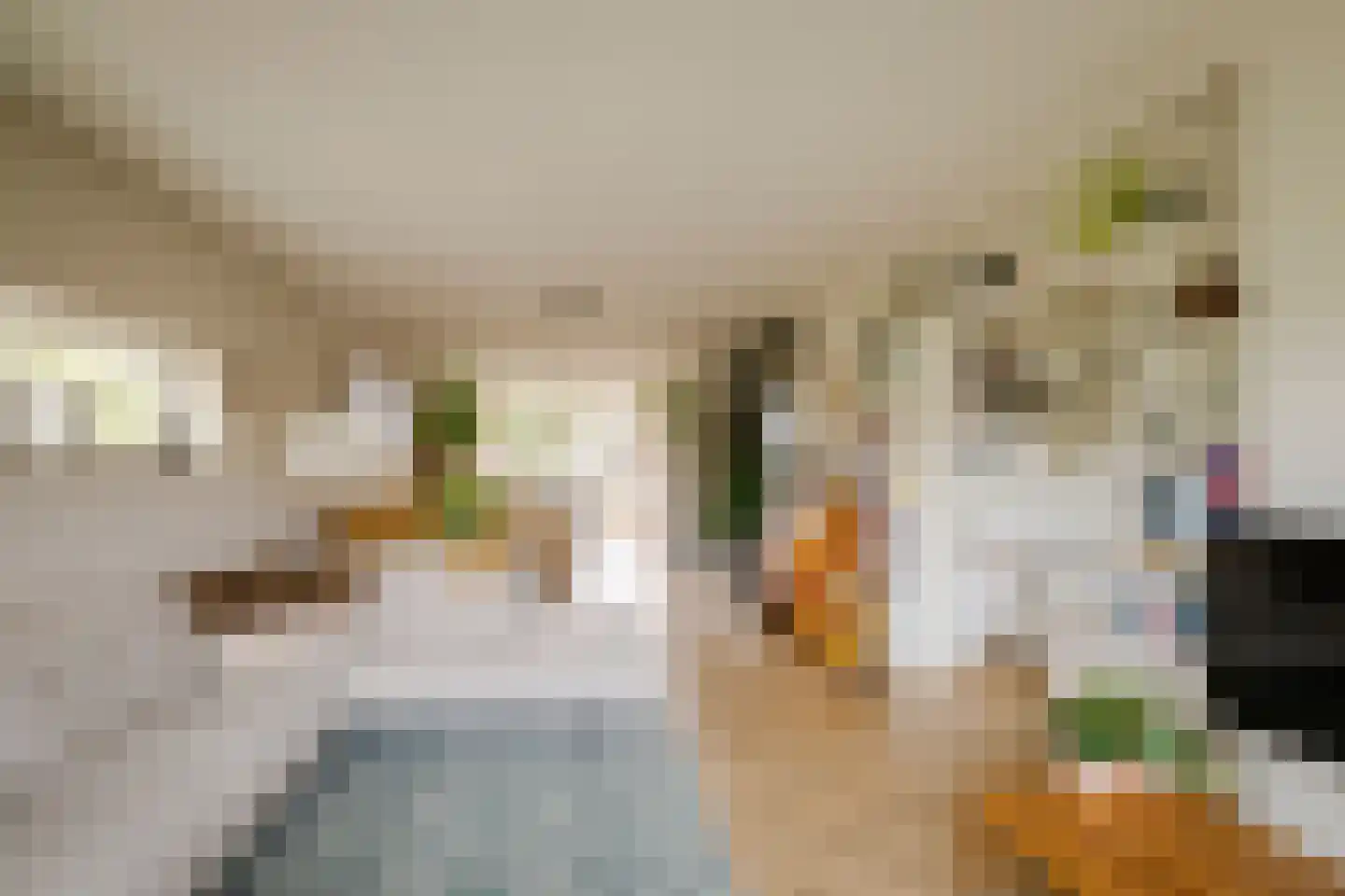 Veen en Duin 14 Bloemendaal thumbnail 17