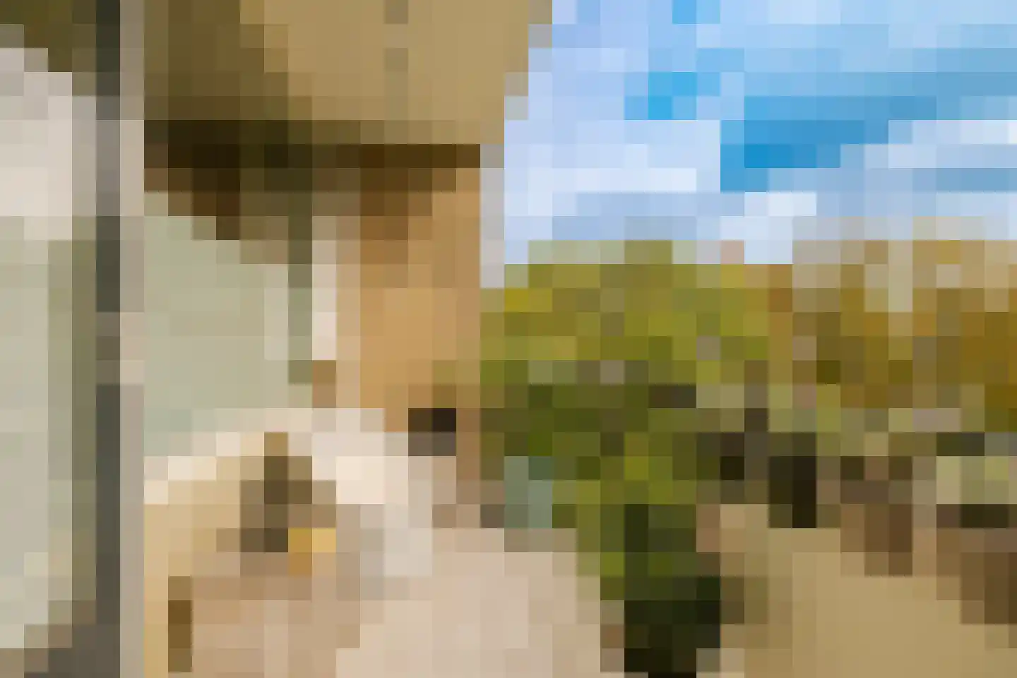 Veen en Duin 14 Bloemendaal thumbnail 25