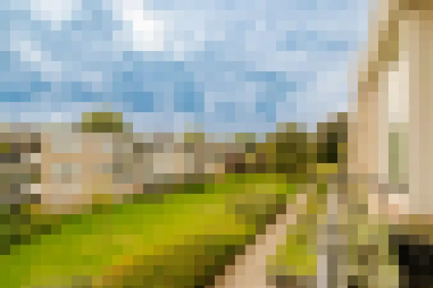 Veen en Duin 14 Bloemendaal thumbnail 26