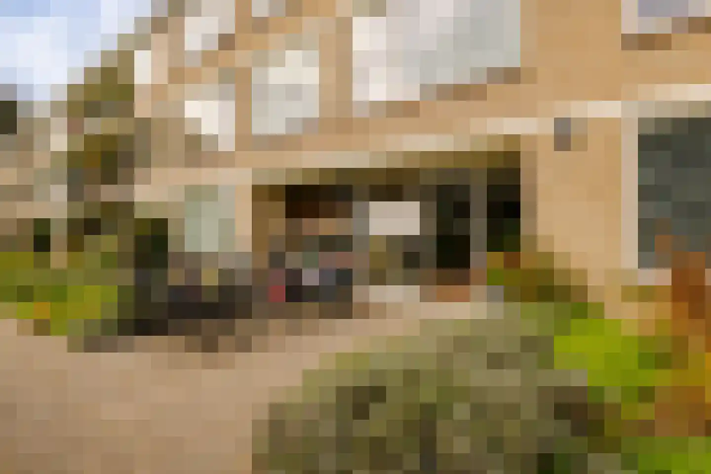 Veen en Duin 14 Bloemendaal thumbnail 40