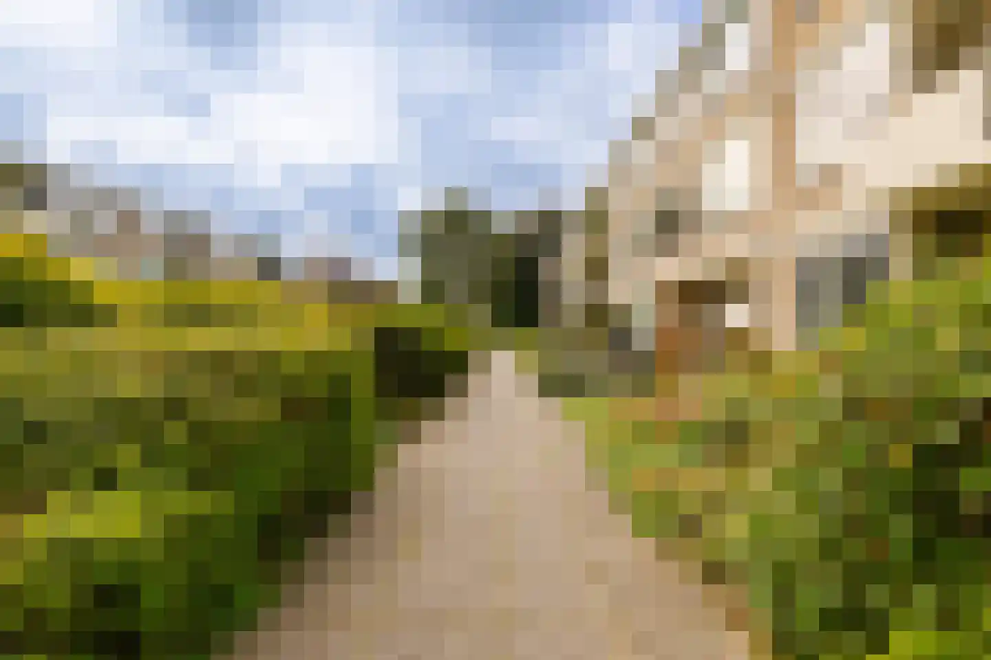 Veen en Duin 14 Bloemendaal thumbnail 42