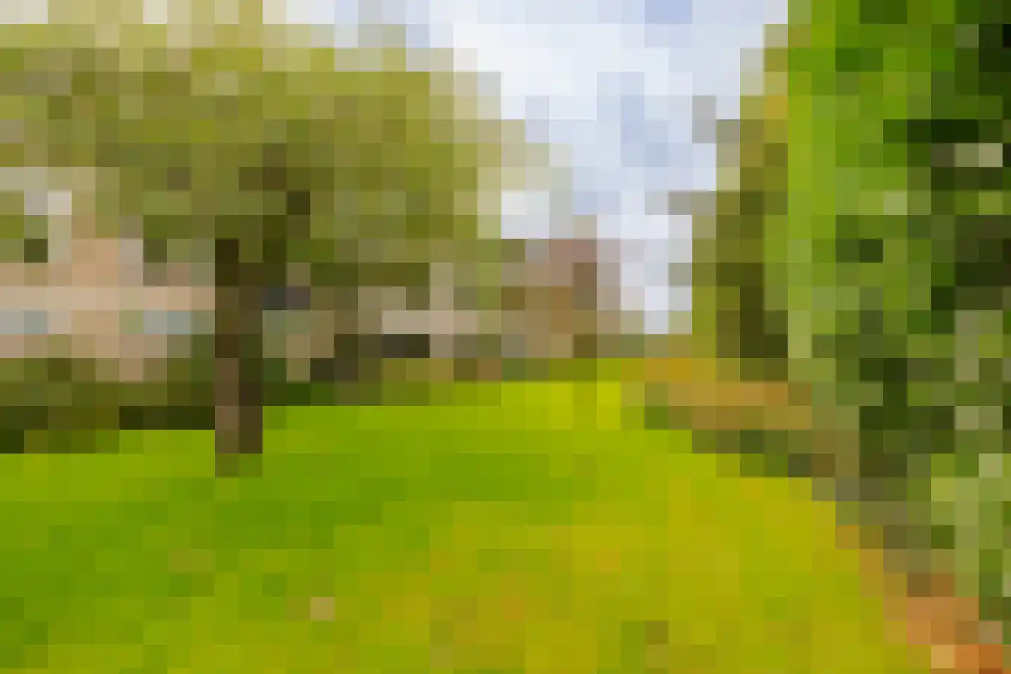 Veen en Duin 14 Bloemendaal thumbnail 44