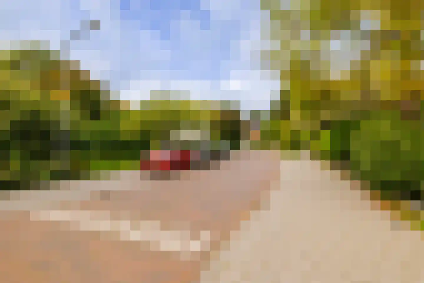 Veen en Duin 14 Bloemendaal thumbnail 46