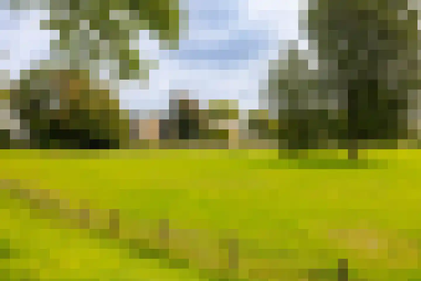 Veen en Duin 14 Bloemendaal thumbnail 47