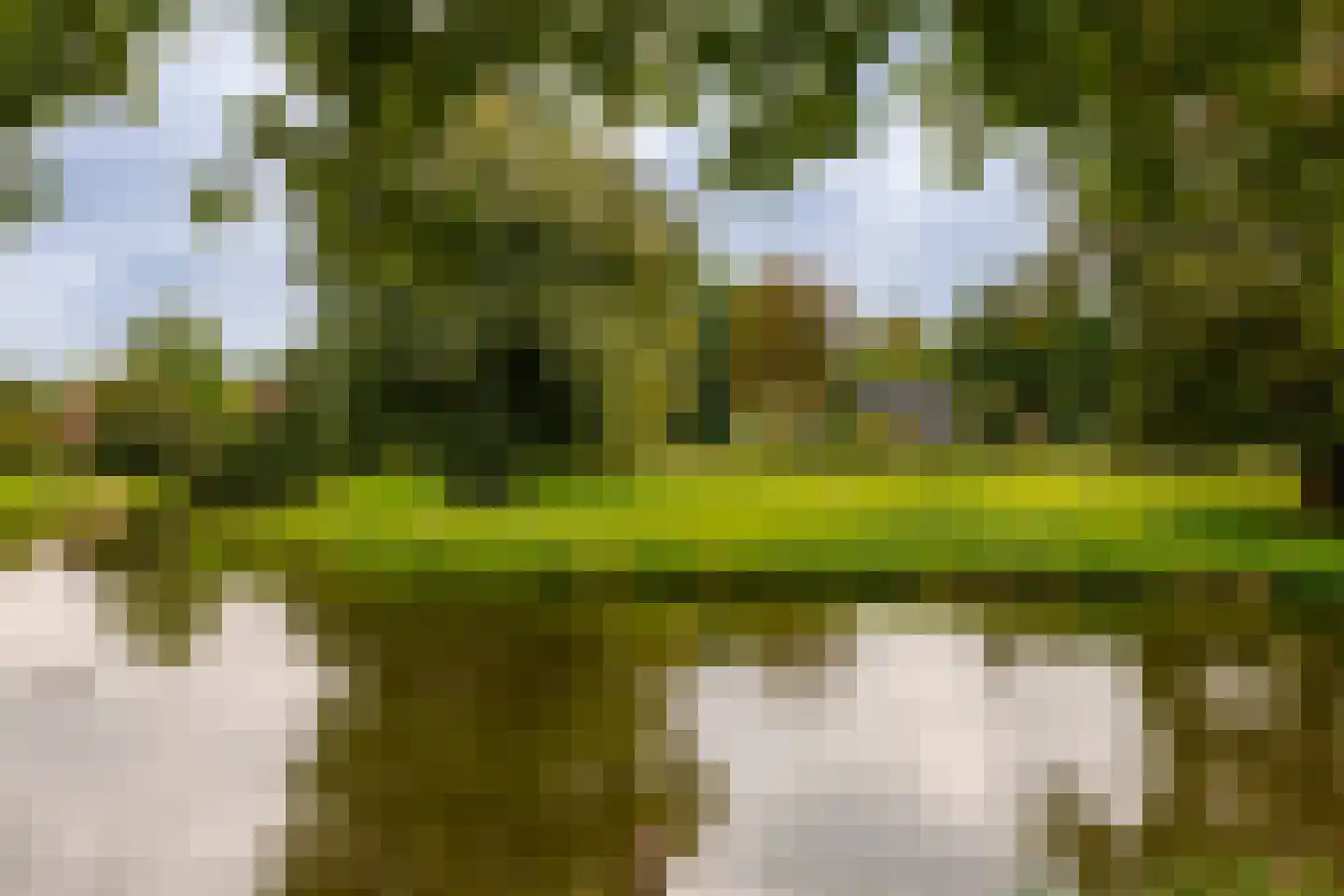 Veen en Duin 14 Bloemendaal thumbnail 48