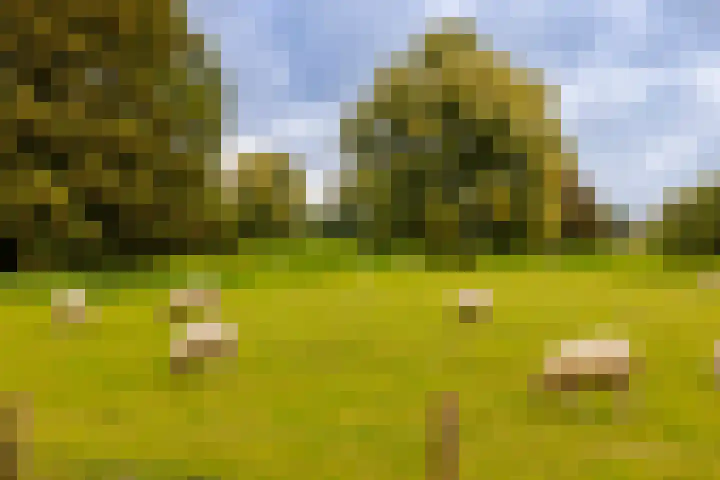 Veen en Duin 14 Bloemendaal thumbnail 49