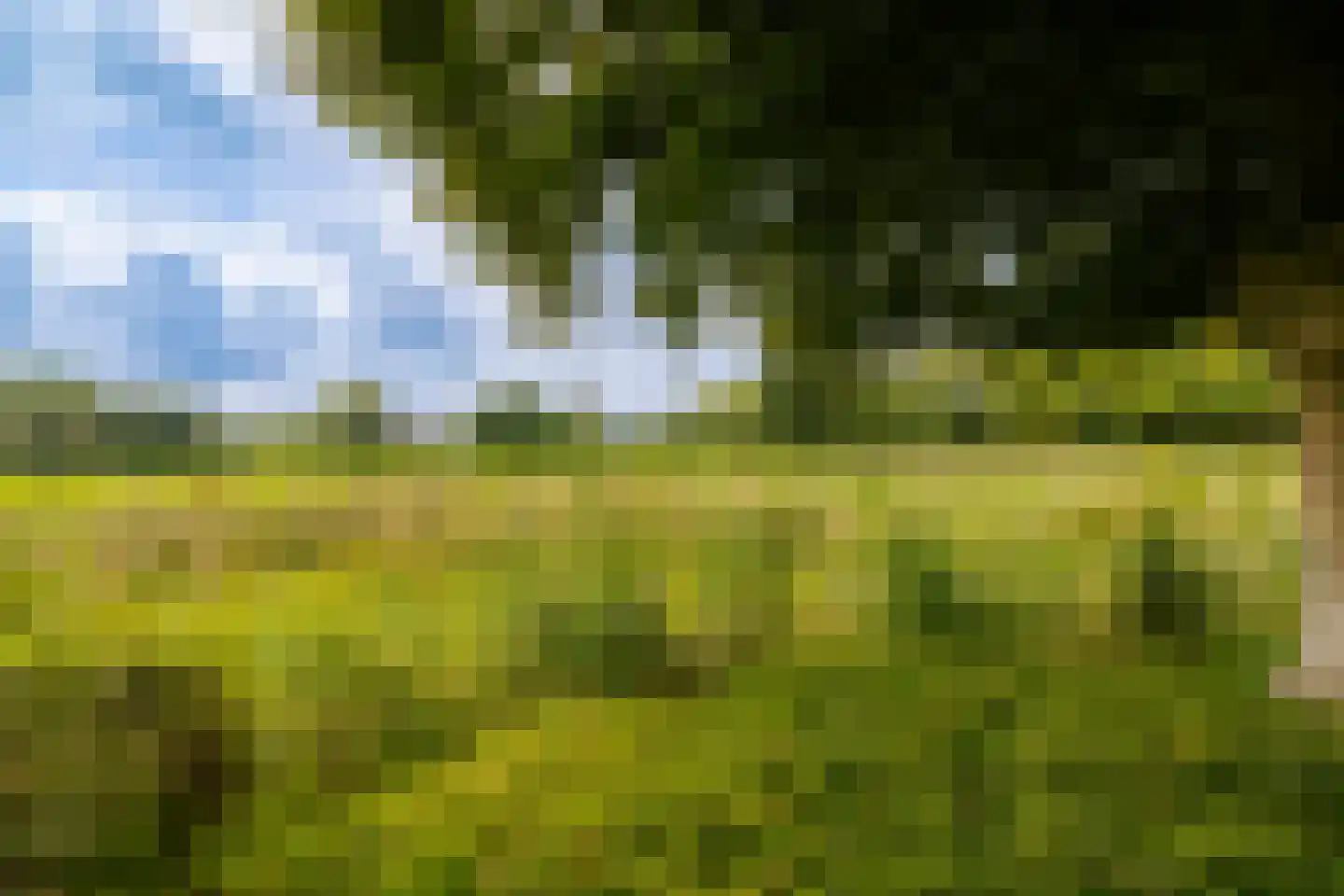 Veen en Duin 14 Bloemendaal thumbnail 50