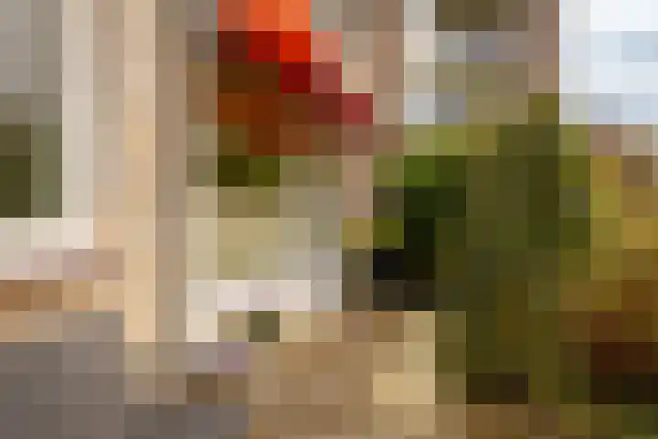 Veen en Duin 17 Bloemendaal thumbnail 11