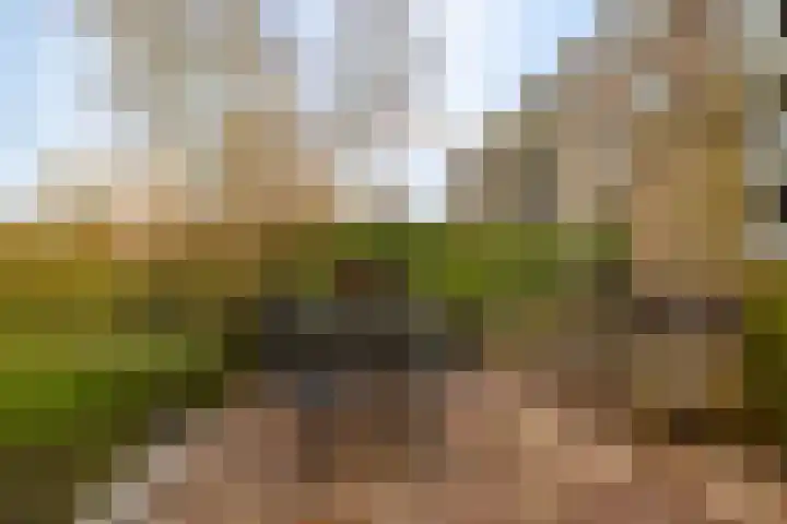 Veen en Duin 17 Bloemendaal thumbnail 13