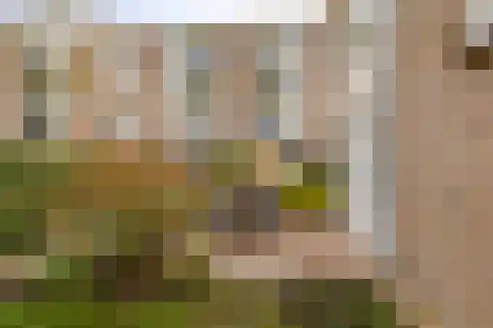Veen en Duin 17 Bloemendaal thumbnail 14