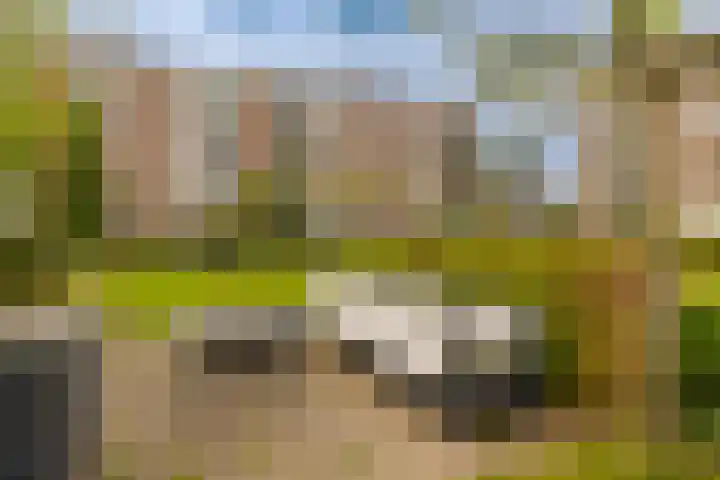 Veen en Duin 17 Bloemendaal thumbnail 15