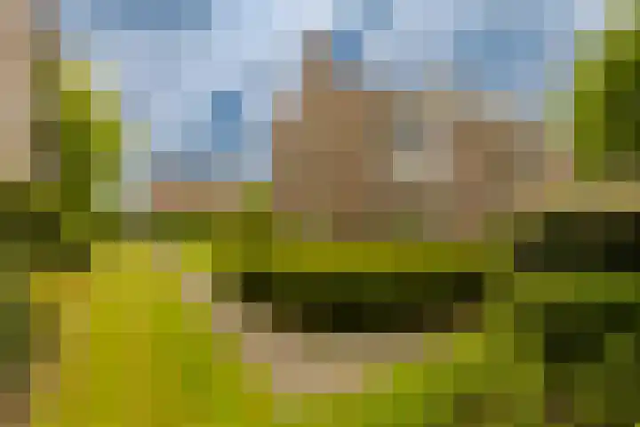 Veen en Duin 17 Bloemendaal thumbnail 32
