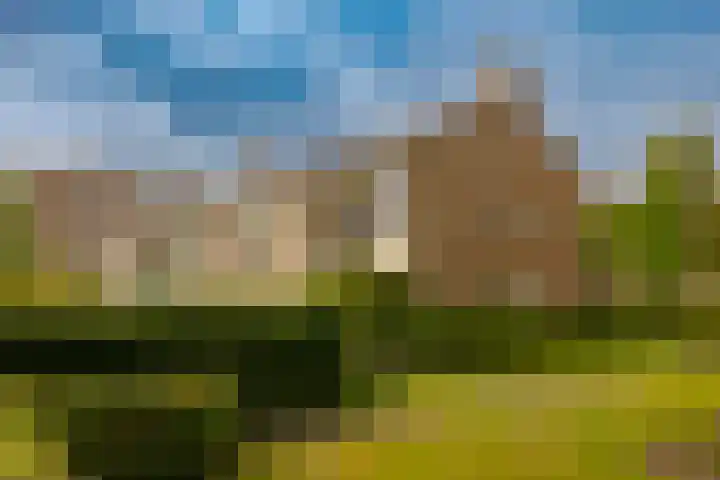 Veen en Duin 17 Bloemendaal thumbnail 33