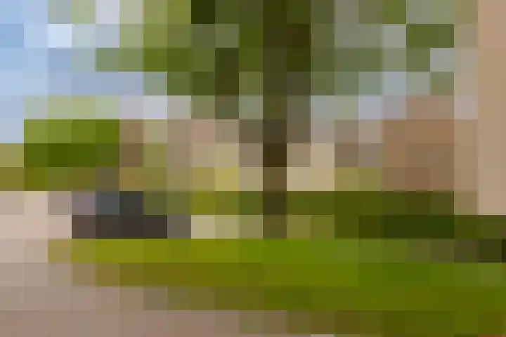Veen en Duin 17 Bloemendaal thumbnail 34