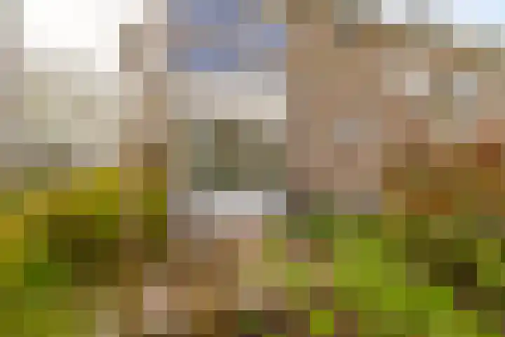 Veen en Duin 17 Bloemendaal thumbnail 4