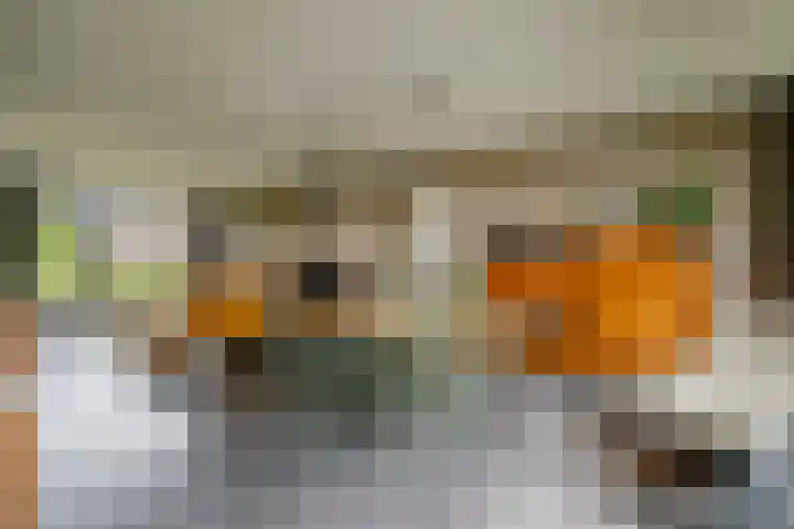 Veen en Duin 19 Bloemendaal thumbnail 10
