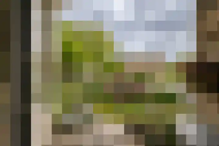 Veen en Duin 19 Bloemendaal thumbnail 13