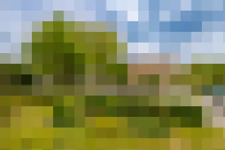 Veen en Duin 19 Bloemendaal thumbnail 14