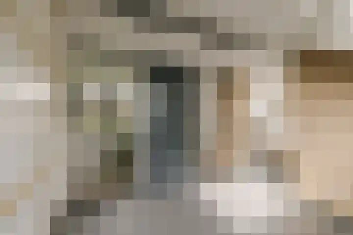Veen en Duin 19 Bloemendaal thumbnail 30