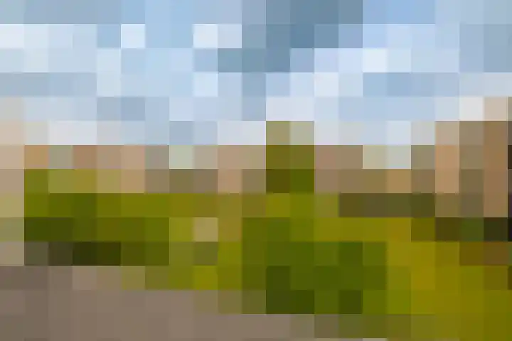 Veen en Duin 19 Bloemendaal thumbnail 36