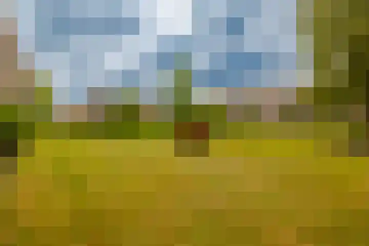 Veen en Duin 19 Bloemendaal thumbnail 43