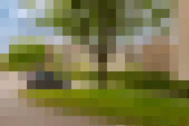 Veen en Duin 19 Bloemendaal thumbnail 45