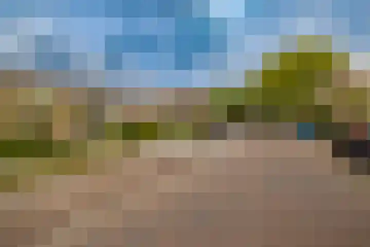 Veen en Duin 19 Bloemendaal thumbnail 46