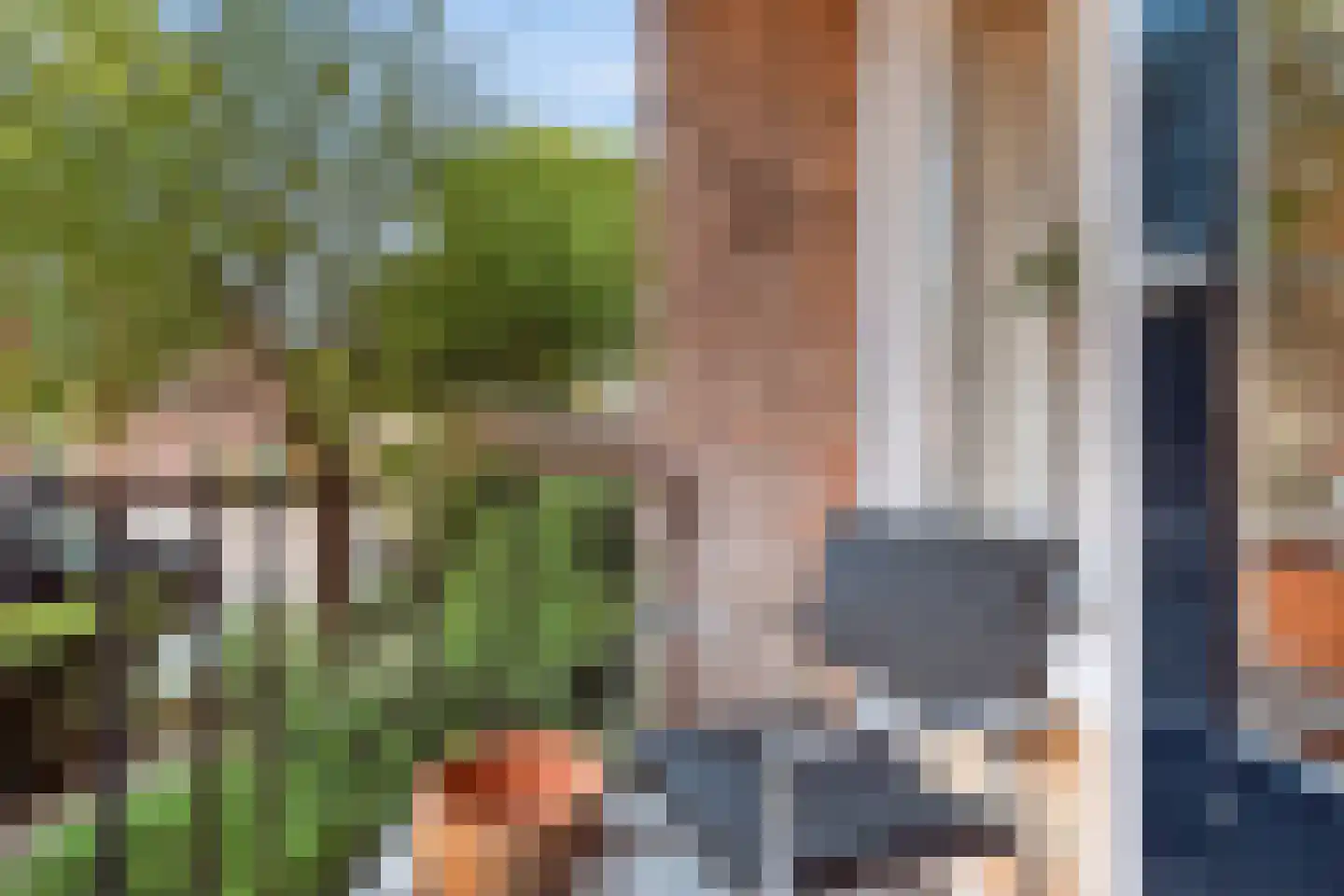 Veen en Duin 29 Bloemendaal thumbnail 11